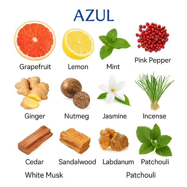 AZUL perfume fragrance note chart showing grapefruit, lemon, mint, pink pepper, jasmine, cedar, and patchouli.