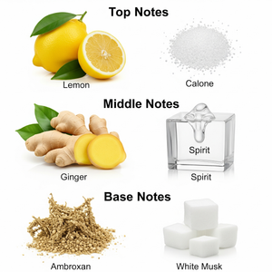 III Edition Spéciale – Extrait de Parfum for Men | Bold Citrus, Marine & Musk Fragrance | Long-Lasting Luxury Perfume 100ML – Made in Dubai