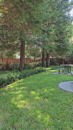 Outdoor lifestyle shot with BLACK TIE perfume atmosphere scene