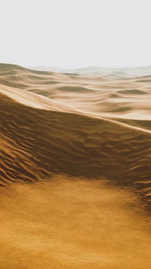 Bottle and Box of AL NAEEM Eau De Parfum by Style & Scents – 100ML